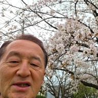 ワオくん-桜坂-福山雅治