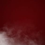 💤ありちん💤-ドライフラワー-優里