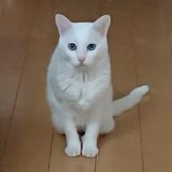 にゃご_nyagosaku🎷-心の奥-ロクデナシ