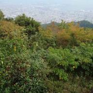 235kly-CASTLE ON THE HILL-Ed Sheeran