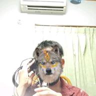 アンモナイト-FLY AGAIN 2019-MAN WITH A MISSION