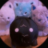 Tarako.-ドーナツホール 2024-ハチ