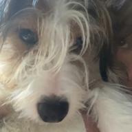 🍀サ͓̽チ͓̽×⑯✨-赤鼻のトナカイ-クリスマスソング