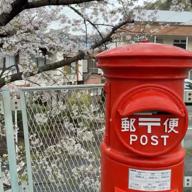 安西伸一🌏介護多忙屋外シンガー-愛の旅路を-内山田洋とクール・ファイブ