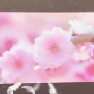 rana-桃源恋歌-GARNiDELiA