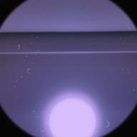 こ ー り-山河-五木ひろし