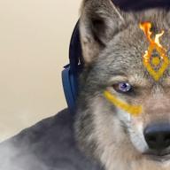 ケン⚔️SHIRO-夜空ノムコウ-SMAP