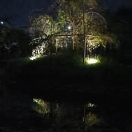 🎉たぁ🤠たぁ🎉ちょん-情熱-斉藤由貴