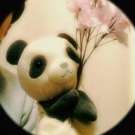 ぱんたろう🐼26日22時～-さくら(独唱)-森山直太朗