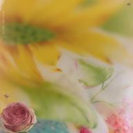 にくにく-HAPPY HAPPY BIRTHDAY-DREAMS COME TRUE