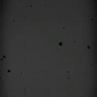 桜美さくら🍀-白日-King Gnu