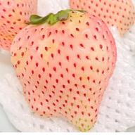 しろいちご🚗-もうひとつの土曜日-浜田省吾