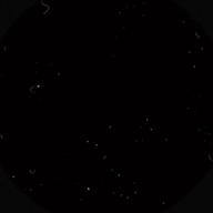 ハルサク-Bye For Now-T-BOLAN