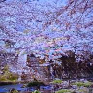 ヒデハル🐱視聴返信遅🙏💦-道-EXILE