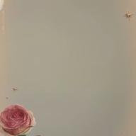 マーボー-コロンブス-Mrs. GREEN APPLE