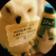 さめ🦈🥂🌈@北関東-SOMEONE YOU LOVED-Lewis Capaldi