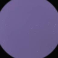 muck🦹-楓-スピッツ