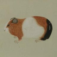 ダー・シアリアス-カルア ミルク-岡村靖幸