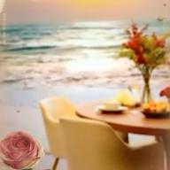 🧷さくらねこ【毎晩25時〜】-1/2の神話-中森明菜