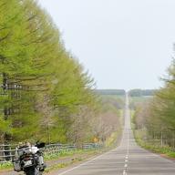 NIKUMAN(ギフト無しで)-ここにしか咲かない花-コブクロ