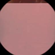 📡お♨️ゆ🍎🧺-橙-Mrs. GREEN APPLE