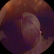 ikexile🍔イケザイル-夜空。feat.ハジ→-miwa