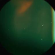 🤖🅷𝕖𝕝𝕝𝕠🤖-僕の心をつくってよ-平井堅