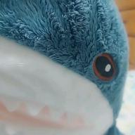 まおらん-残響散歌-Aimer