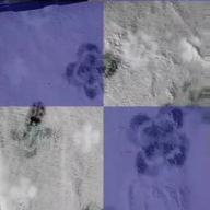 🛸ゆみりん🧚-オリジナル-