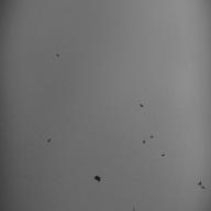 🤐アツコン🤐-DUA・RHYTHM-Chevon