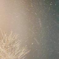 ぱんたろう🐼(RED🍓)-雪の華-中島美嘉