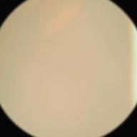 こっこ ˙Ⱉ˙💉-愛のうた-ストロベリー・フラワー