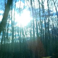 korun_muse-Blue Jeans-HANA