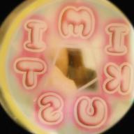 🌙🌟おりゆう🏰🌏-推しのいる世界-=LOVE