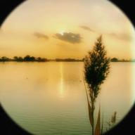 すいっち🎧-ルキンフォー-スピッツ