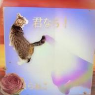 🧷さくらねこ⏰23時30分-オリジナル-
