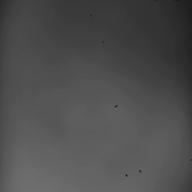 き お 𓆛𓈒𓏸︎︎︎︎  🅗-DARMA GRAND PRIX-ヨルシカ