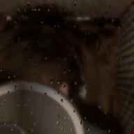 ❄️👴おじゅん🦶🐾-愛は薬-wacci