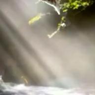 🧷さくらねこ⏰23時30分〜-LOVIN' YOU-MINNIE RIPERTON