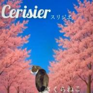 🧷さくらねこ⏰23時30分-オリジナル-