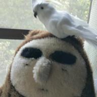 じあーな💖-天地ガエシ-NICO Touches the Walls