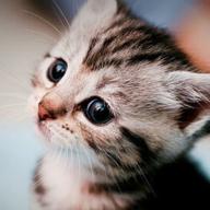 ちょこ♡hari✿-M&A-EXILE