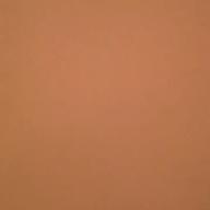 ゆきくん-君のキャトル・ヴァン・ディス-STARDUST REVUE