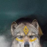 ちょんまげりゅうた-シンデレラボーイ-Saucy Dog