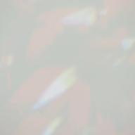 -南南東龍子。--Memories-ローラ