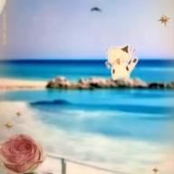 🧷さくらねこ⏰23時30分-スローモーション-中森明菜