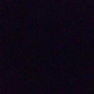 ゆうゆう-ドライフラワー-優里