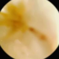 Asuka at てぃん🫶大阪-さくらびと-SunSet Swish