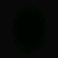 Rick-MY HEART WILL GO ON(LOVE THEME FROM 'TITANIC')-CELINE DION