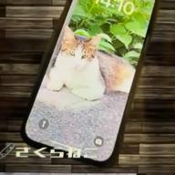 🧷さくらねこ【232323】-オリジナル-